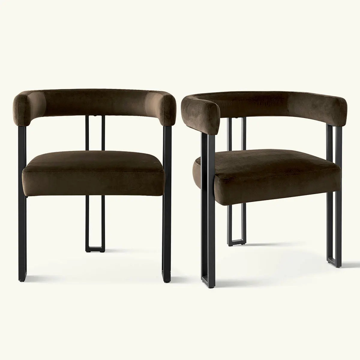 Velvet accent dining chair set, dark brown, black legs, modern style, pair of two chairs.